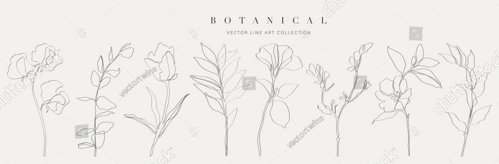 Botanical arts. Hand drawn continuous line drawing of abstract flower, floral, rose, tropical leaves, spring and autumn leaf, bouquet of olives. Vector illustration.
