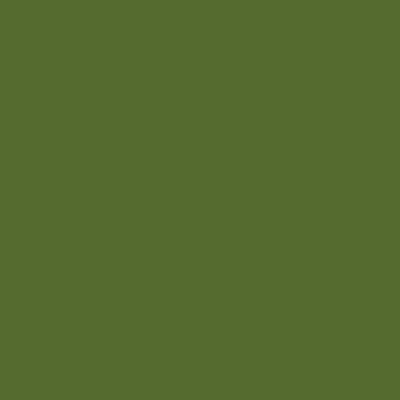 B524_Hunter green_#556B2F