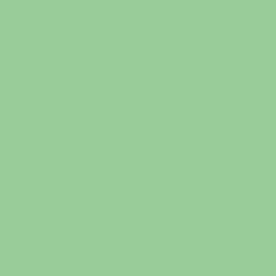 B146_Seafoam_#99cc99