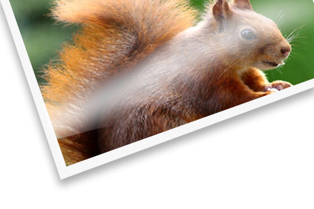 Glossy Paper