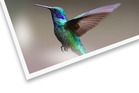 Metalic Paper