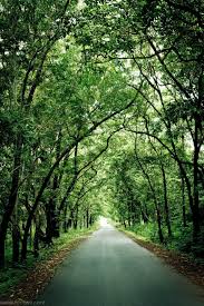 Road way