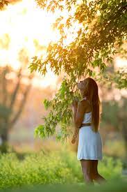 sunshine