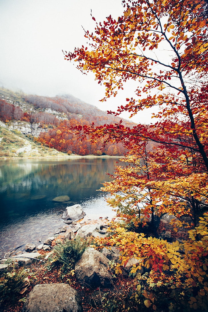 beautiful nature
