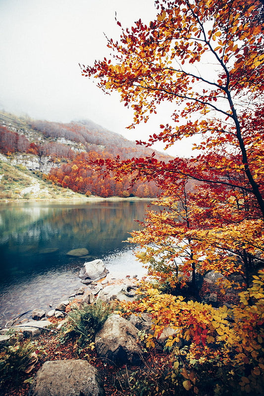beautiful nature