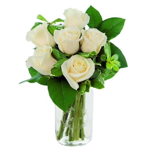 white rose