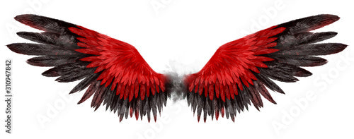 Beautiful magic red black wings drawn with watercolor effect