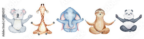 Watercolor animals character collection. Panda, sloth, giraffe, koala, elephant