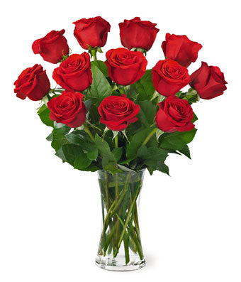 red rose
