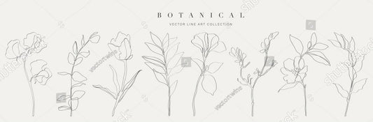 Botanical arts. Hand drawn continuous line drawing of abstract flower, floral, rose, tropical leaves, spring and autumn leaf, bouquet of olives. Vector illustration.